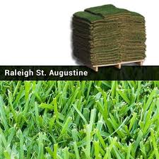 Maybe you would like to learn more about one of these? Raleigh St Augustine And Palmetto St Augustine Grass Sod Pallet Premier Nursery