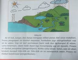 Sesungguhnya itu adalah perkataan yang diucapkannya saja. Jatuhnya Titik Titik Air Di Permukaan Bumi Dinamakan Peristiwa A Evaporasi B Brainly Co Id