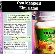 Apakah jenis ubat untuk datang haid bagi menyelesaikan masalah ini? Hot Item Penawar Kanser Cyst Fibroid Haid Senggut Jerawat Dan Jeragat Ndlife Apricot Seeds Ubatan Tradisional Shopee Malaysia