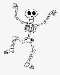 Nov 10, 2019 · let's remember the basic proportions and learn how to draw a skeleton in stages. Drawing Sport Skeleton Fancy Key Png Transparent Png Kindpng