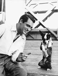 Maybe you would like to learn more about one of these? Cary Grant Cary Grant Classic Movie Stars Golden Age Of Hollywood