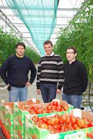 Saveol has 149 employees at their 1 location.cooperative maraichere de l ouest saveol produit en bretagne / saveol pineapple tomato (lycopersicum esculentum).savéol est la marque commerciale appartenant à la coopérative maraîchère de l'ouest, coopérative agricole française spécialisée dans le conditionnement et la. A Briec De L Odet L Usine D Incineration Va Chauffer 5 Ha De Serres Terra