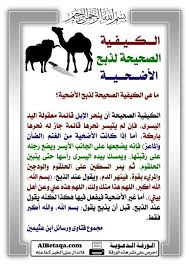 Maybe you would like to learn more about one of these? ÙˆÙ‚Ù Ù„Ø£Ø¨ÙˆÙŠ Ø§Ø¯Ø¹ÙˆØ§ Ù„Ù‡ On Twitter Ù…Ø§ ÙŠÙ‚Ø§Ù„ Ø¹Ù†Ø¯ Ø°Ø¨Ø­ Ø§Ù„Ø£Ø¶Ø­ÙŠØ© Ù‚Ø§Ù„ Ø§Ù„Ø¹Ù„Ø§Ù…Ø© Ù…Ø­Ù…Ø¯ Ø¨Ù† ØµØ§Ù„Ø­ Ø§Ù„Ø¹Ø«ÙŠÙ…ÙŠÙ† Ø±Ø­Ù…Ù‡ Ø§Ù„Ù„Ù‡ ÙŠÙ‚ÙˆÙ„ Ø¹Ù†Ø¯ Ø§Ù„Ø°Ø¨Ø­ Ø¨Ø³Ù… Ø§Ù„Ù„Ù‡ Ø§Ù„Ù„Ù‡ Ø£ÙƒØ¨Ø±