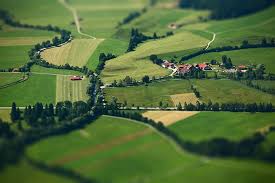 Image result for Tilt Shift