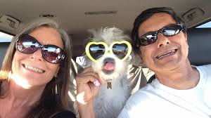 Artists find their muses in meows and woofs