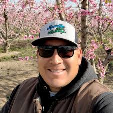 Springtime Pools And Landscapes