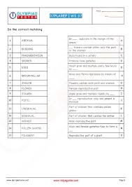 Class 7 Nso Worksheet 07 Reproduction In Plants Science Worksheets Exam Preparation Science