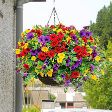 Image result for foto Million Bells