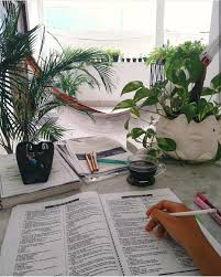 Studying Study Hard Study Notes Study Inspiration