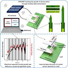 Highly stretchable, robust, and resilient wearable electronics for remote,  autonomous plant growth monitoring: Device