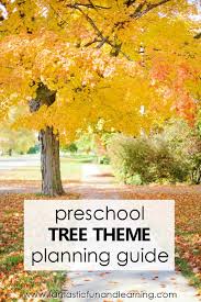 Tree theme preschool activities can be a fun topic to explore year round. Tree Theme Preschool Activities Fantastic Fun Learning