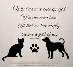Ask the beasts and they will teach you the beauty of this earth. Coping With The Loss Of A Pet Pet Loss Quotes Pet Grief Pet Loss Grief