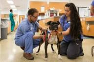 Pet Health Center | College of Veterinary Medicine