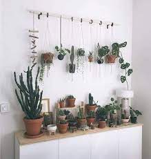 Amazing Ideas Floating Shelf Display Hallways Floating Shelf Placement Subway Tiles Rustic Floating Shelf Ideas Woo Plants Wooden Floating Shelves Plant Decor