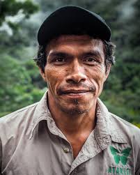 Guías nativos de la mano de un servicio personalizado te llevarán a  recorrer los encantos del Parque Nacional Madidi, a tu propio ritmo y sin  apuros. #madidinationalpark #atarisilodge #rainforests #ecolodges  #nativeguide #amazonjungle #