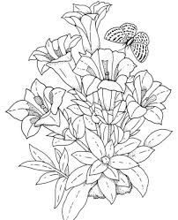 Image Result For Flower Drawings Sunflower Coloring Pages Printable Flower Coloring Pages Butterfly Coloring Page