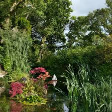 Image result for garden pond ideas