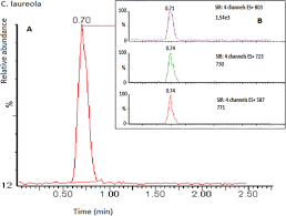 Image result for Callilepis laureola