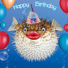 Birthday Card Happy Birthday Cute Dog Cake Balloons Goggly 3d Moving Eyes For Sale Online Ebay Unsplash has the best happy birthday images. funny fish birthday card 3d goggly moving eyes party hat balloons greeting card