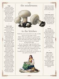 Funghi Mushrooms Friuli Venezia Giulia Passion Food Italy Stuffed Mushrooms Friuli Venezia Giulia Garden Mushrooms