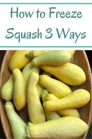 Most sources suggest storing fresh zucchini in the fridge. How To Freeze Squash The Health Nut Mama