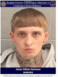 CONSTABLES ARREST SUSPECT WHO WAS IN POSSESSION OF SEVERAL STOLEN CREDIT  CARDS AND IDENTIFICATION CARDS On November 23, 2024, a corporal with  Constable Mark Herman's office responded to a suspicious person call