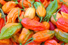 Mas una nota de agro tv sobre el chile habanero visitanos en www.elagropecuario.com y sepa mas voz de manuel cabrera , edición joel junior dirección general. Cancer Causing Cola Compounds Caught By Gc Ms Ms 2017 Wiley Analytical Science