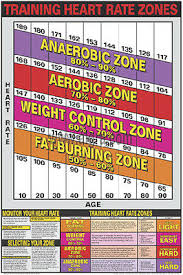 Cardiovascular Fitness Training Heart Rate Zones Professional Wall Chart Poster Ebay