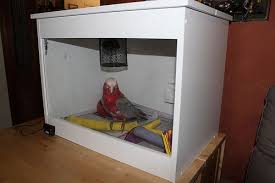 Pin By Sue Ballinger On Kus Kafesleri Cage Hospital Parrot Training