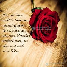 Wer Eine Rose Wirklich Liebt Lebensweisheiten Spruche Nachdenkliche Spruche Tiefsinnige Spruche