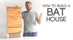 learn how to build a bat house from simple materials that can be found at your local hardware store bat house build a bat house bat house plans