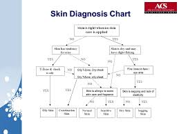 skin care personality ppt video online download