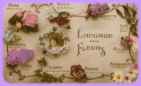 Pin De Moly Brown En Letreros Y Etiquetas Vintage Lenguaje De Las Flores Rosas Etiquetas Vintage