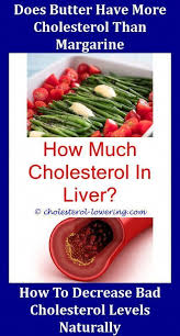 Astonishing Useful Ideas Cholesterol Diet Food Lists