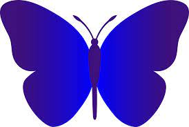 Maybe you would like to learn more about one of these? News Butterfly Butterfly Cartoon Clipart Butterfly Outline Cartoon Butterfly Butterfly Clip Art