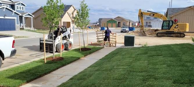 Commercial sod installation for a landscaped entrance
