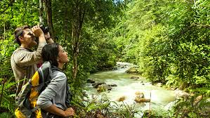 Sangat² menyeronokan dengan keindahan alam semulajadi. Chiling Waterfalls Air Terjun Sungai Chiling Visit Selangor