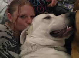 Pets Visiting and Receiving Love and Treats