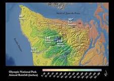 Image result for rainfall in Olympic rainforest