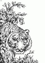 Consider these coloring books and pages to help ease the hospital transition. Pin On Coloring Pages For Adults