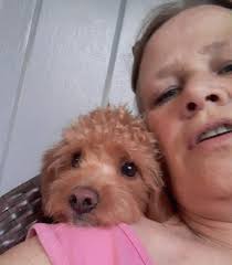 Lost dog Ollie in Shawnee County, owner seeking information and help