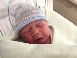 James Cifelli — Cifelli Family