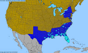 Image result for Clerodendrum umbellatum