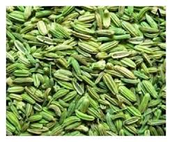 Image result for Ocimum minutiflorum