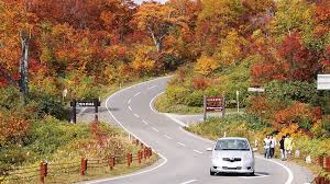You can rent without a credit check. Car Rental In Japan