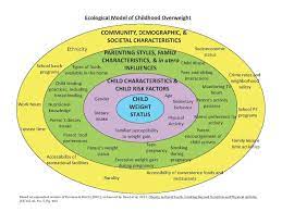 Maybe you would like to learn more about one of these? Social Ecologial Model Theory Rheingau Com