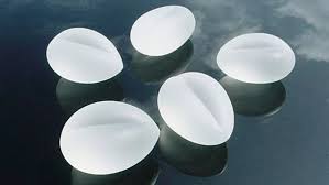 Christine and Stephen Procter Fellowship