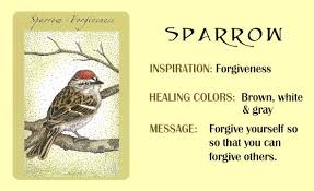 Birds And Their Spiritual Meanings A Message Of Self Forgiveness From Sparrow Your Spirit Animal Animal Spirit Guides Spirit Animal Meaning