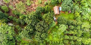 In modern agroforestry, the systems are classified based on the present components of its practice. Agroforestry Ultimate Guide And Examples Grocycle