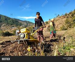 Read hotel reviews and choose the best hotel deal for your stay. Mandi Himachal Image Photo Free Trial Bigstock